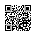 410291024 