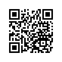 410291043 