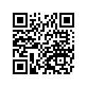 410291046 