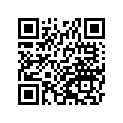 410291056 
