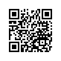 410291061 
