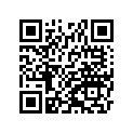 410291063 