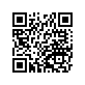410291080 