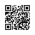 410291081 
