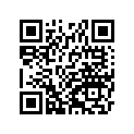 410291085 