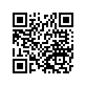 410291138 