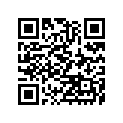 410291175 Spoke-inner, Rr