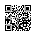 410291316 