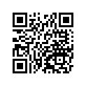 410341139 