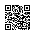 410341305 
