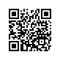 410351036 