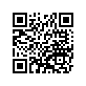 410351037 
