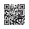 410351081 