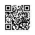 410481056 