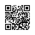 410481063 