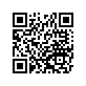 410481102 Shoe, Brake