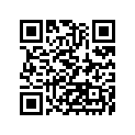 410481138 