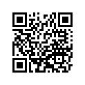 410501053 