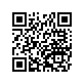 410531017 