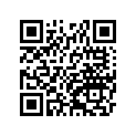 410531029 