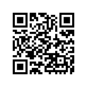 410531034 