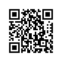 410531051 
