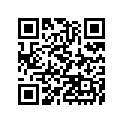 41057013 