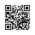 41068-1315 アクスル，RR