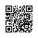 41068-1333 アクスル，FR