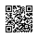 41068010 