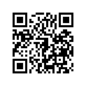 410681017 