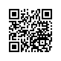 410681031 