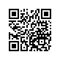 410681036 