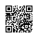 410681037 