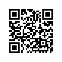 410681081 