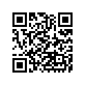 410681088 