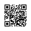 410681090 