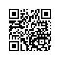 410681096 