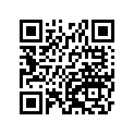 410681122 