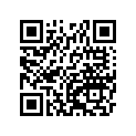 410681125 