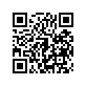 410681126 