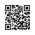 410681166 