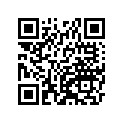 410681184 