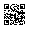 410681233 