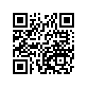 410681312 