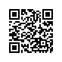 410685002 
