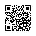 41073-0016-795 ホイ-ルアツシ，FR，シルバー