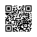41073-0017-795 ホイ-ルアツシ，RR，シルバー