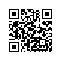 41073-0091-795 ホイ-ルアツシ，RR，シルバー