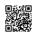 41073-0145-28H ホイ-ルアツシ，RR，ゴールド